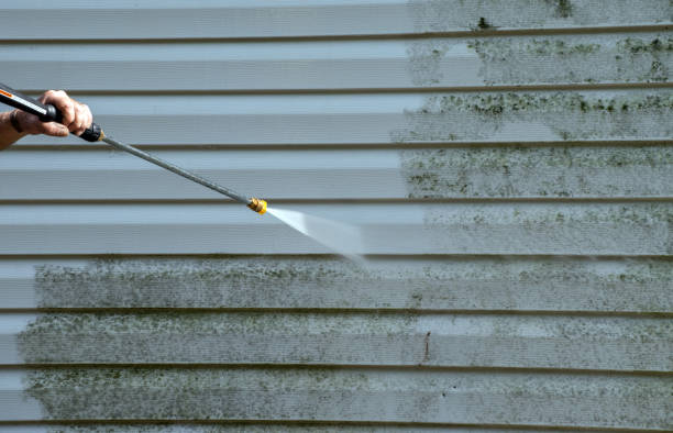 Best Exterior Home Cleaning  in Pasadena, MD