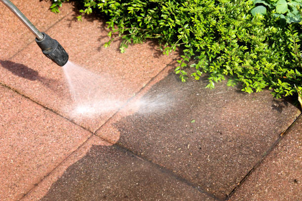 Best House Pressure Washing  in Pasadena, MD