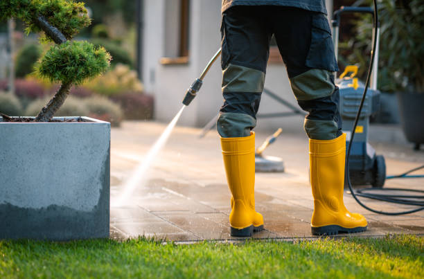 Best Roof Pressure Washing  in Pasadena, MD